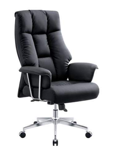 Executive Padded Office Chair with Chrome Base and Armrests